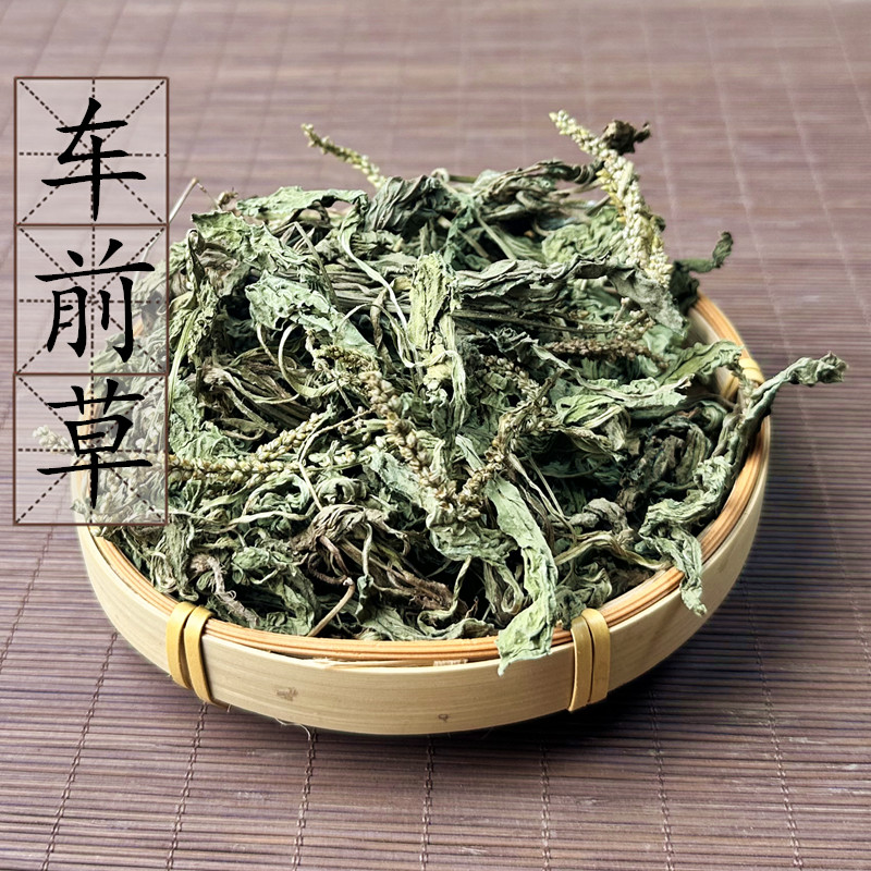 野生车前草 牛舌菜 中药材供应地胆草 白贯草 车轮菜500g 2件包邮