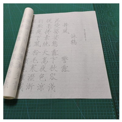 赵佶瘦金体咏鹤五绝六首毛笔书法摹写帖临摹描红半生熟宣纸15遍装