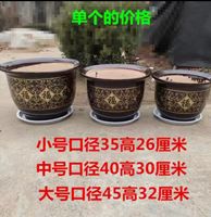 Guangdong ceramic flower POTS: Money tree, Happiness tree, Iron tree, Dragon's Blood tree, large potted plants, large ceramic flower POTS with free shipping thumbnail 2