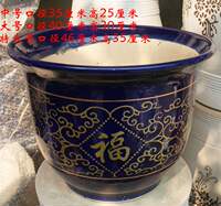 Guangdong ceramic flower POTS: Money tree, Happiness tree, Iron tree, Dragon's Blood tree, large potted plants, large ceramic flower POTS with free shipping thumbnail 6