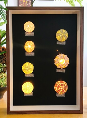 木质中空5cm大尺寸挂墙展示框