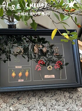 A4立体中空5cm植物标本相框