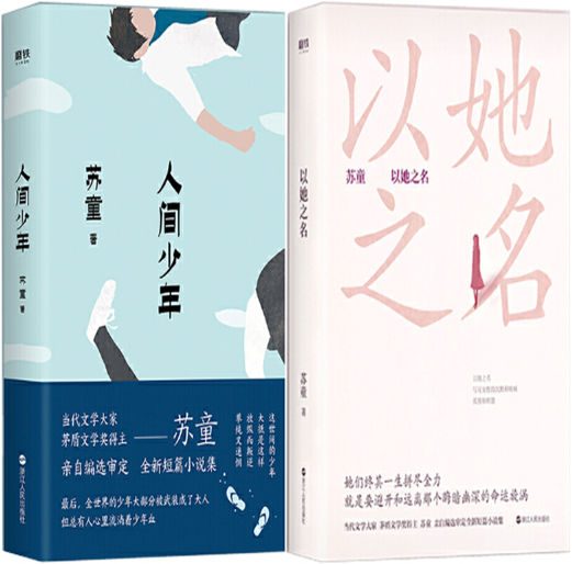 【正版包邮】苏童作品2册：人间少年+以她之名 苏童短篇小说集