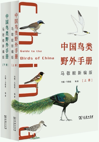中国鸟类野外手册(马敬能新编版)