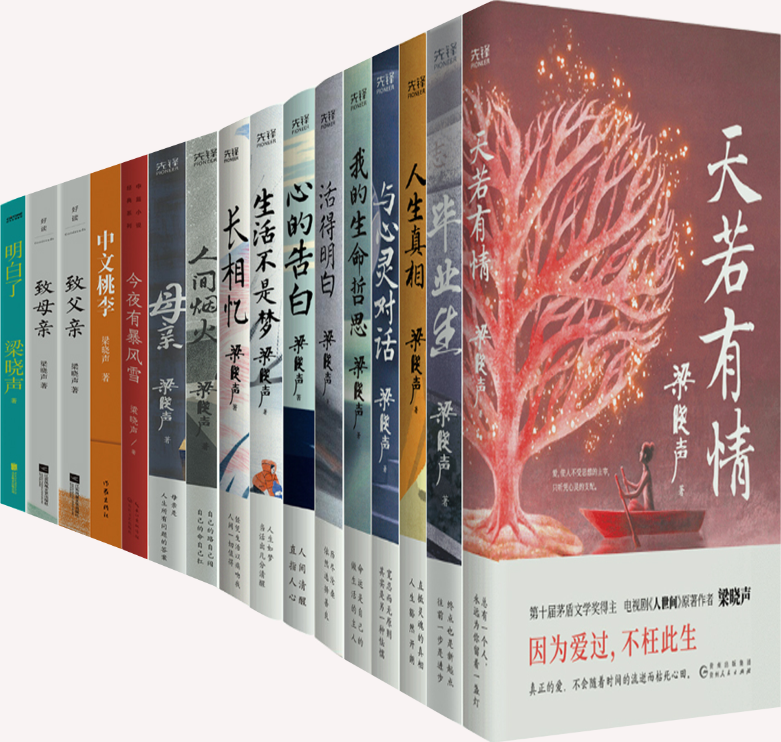 【正版包邮】梁晓声作品17册 毕业生+天若有情+人生真相+与心灵对话+我的生命哲思+活得明白+心的告白+生活不是梦等