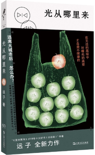 【正版】 光从哪里来。逃离大城市后怎么办  远子短篇小说集，收录：有福之人+地下的天空+倒水河+冬眠。
