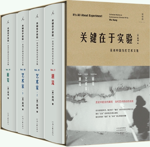 关键在于实验：巫鸿中国当代艺术文集 理想国四卷典藏版 艺术家·下 正版 展览 艺术家·上 包邮 潮流 ：