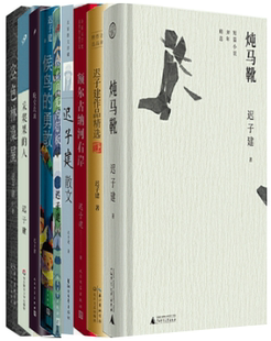 包邮 额尔古纳河右岸 勇敢等套装 迟子建作品精选 正版 候鸟 迟子建作品9册 迟子建散文 炖马靴