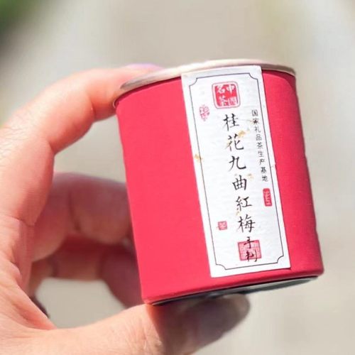 杭州特产本地桂花九曲红梅10g