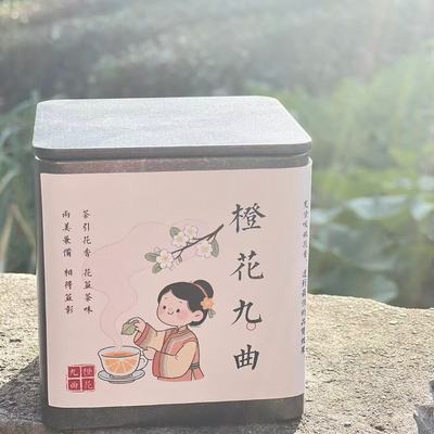 橙花九曲红梅50g玳玳红茶可冷泡