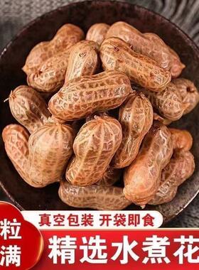 卤煮花生带壳盐水花生啤酒伴侣下酒菜卤汁花生