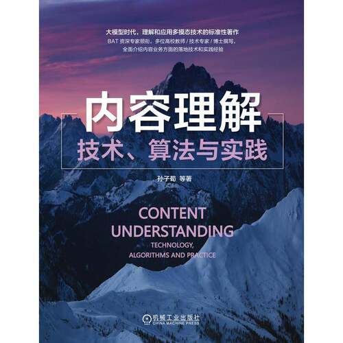 正版内容理解:技术、算法与实践:technology, algorithms and practice9787111735137 孙子荀机械工业出版社工业技术  书籍