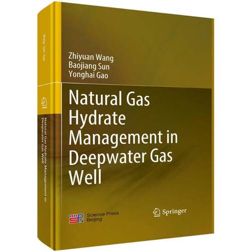 正版Natural gas hydrate management in deepwater gas well9787030644190 科学出版社工业技术  书籍