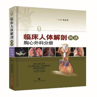 正版临床人体解剖图谱:胸心外科分册:Cardiothoracic surge9787547835982 陈金宝上海科学技术出版社医药卫生人体解剖学图谱 书籍