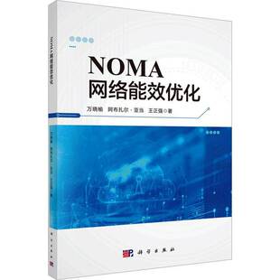 正版NOMA网络能效优化9787030851086 万晓榆科学出版社工业技术  书籍