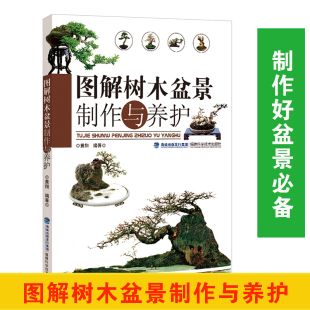 室内绿化养植 盆景书盆景造型制作 植物种植养护知识 家庭园艺阳台花园 图解树木盆景制作与养护 养花树木盆景盆栽制作教程书