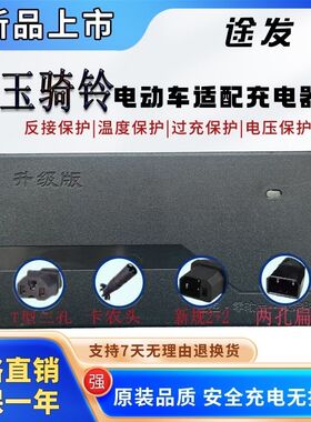 玉骑铃麒麟电动车适配充电器60V20AH72V32AH84V96伏108V50两孔