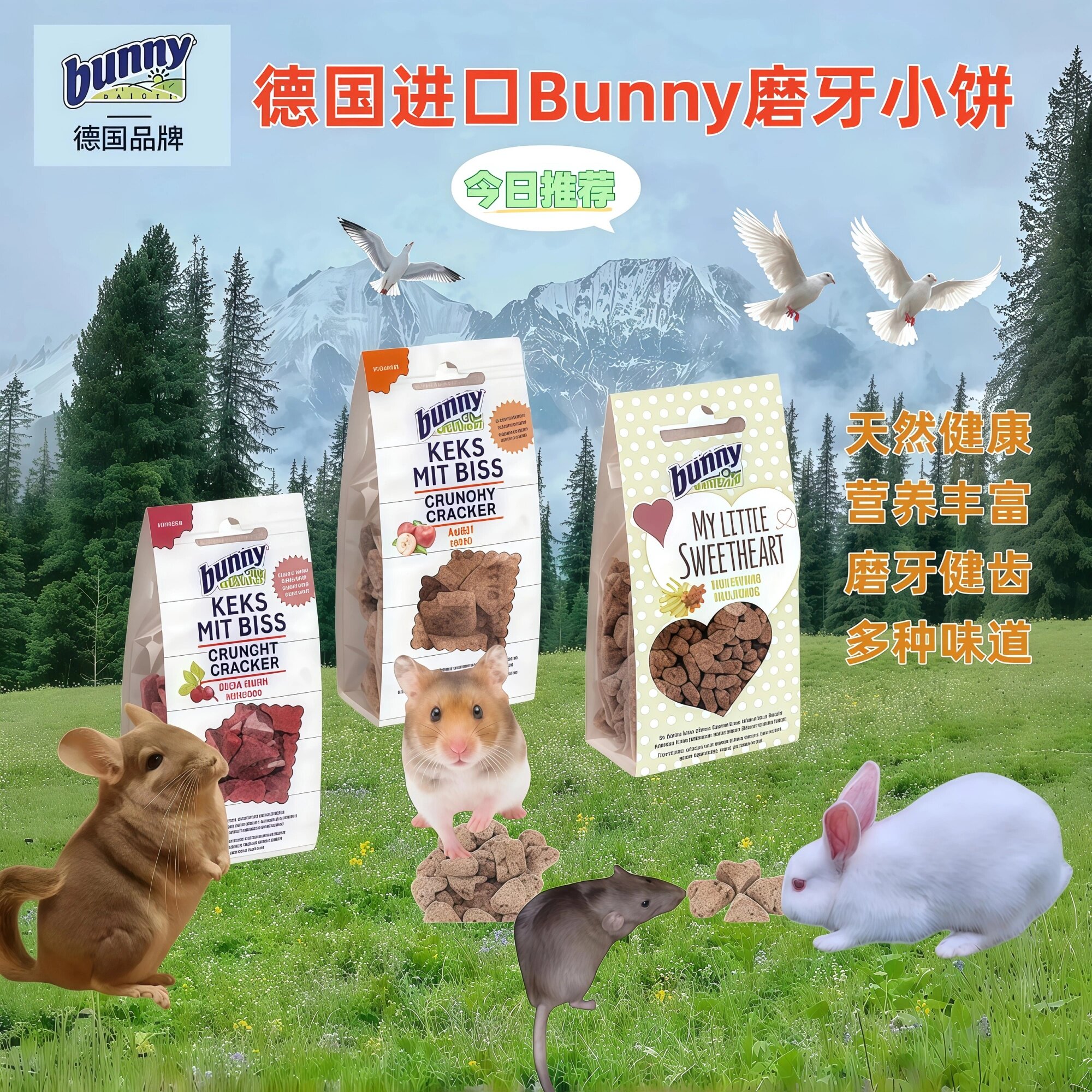 德国Bunny磨牙小饼 兔子龙猫荷兰猪仓鼠 水果味零食50g