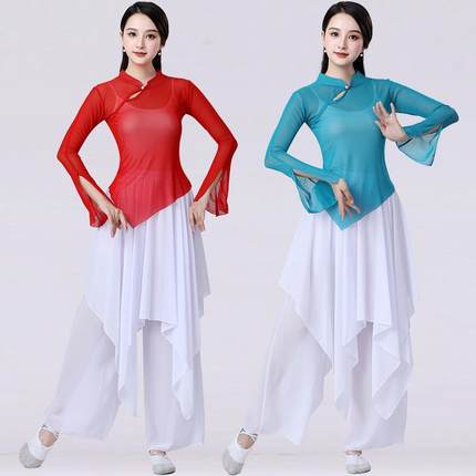 中国风古典舞复古民族跳舞蹈服身韵服女成人弹力纱上衣表演出衣服
