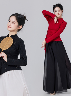 古典舞服装套装女2025新款高领长袖演出服中国风飘逸现代舞蹈衣服