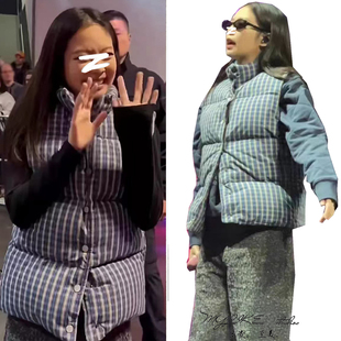 明星同款百搭蓝色格子立领单排扣羽绒棉服马甲女冬季无袖背心外套