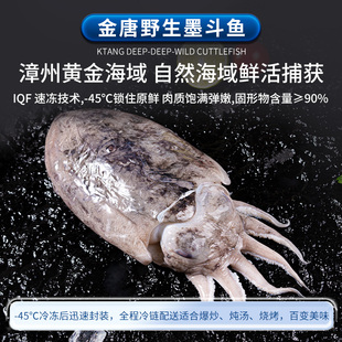【顺丰冷链】金鱼 墨斗鱼1kg深海捕捞新鲜冷冻鱼海鲜海产水产
