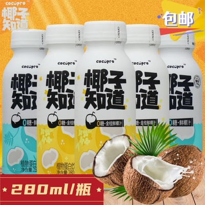 椰子知道椰子椰汁植物蛋白饮料