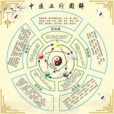 中医五行图解装饰画五行相生相克中医养生太极图脏腑理论知识挂画