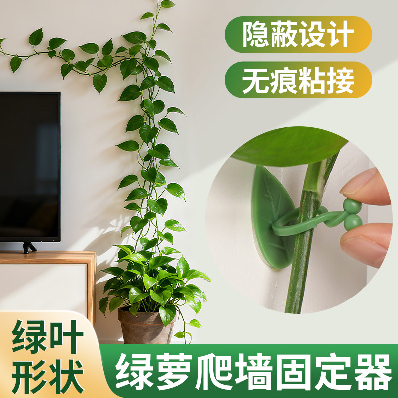 绿植爬藤固定器绿萝爬墙不伤墙支撑植物爬上神器山乌龟固定卡扣
