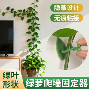 绿植爬藤固定器绿萝爬墙不伤墙支撑植物爬上神器山乌龟固定卡扣