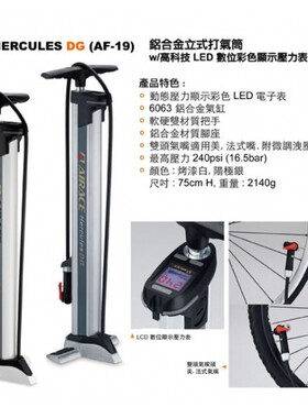 AIRACE高压便携自行车电子立式打