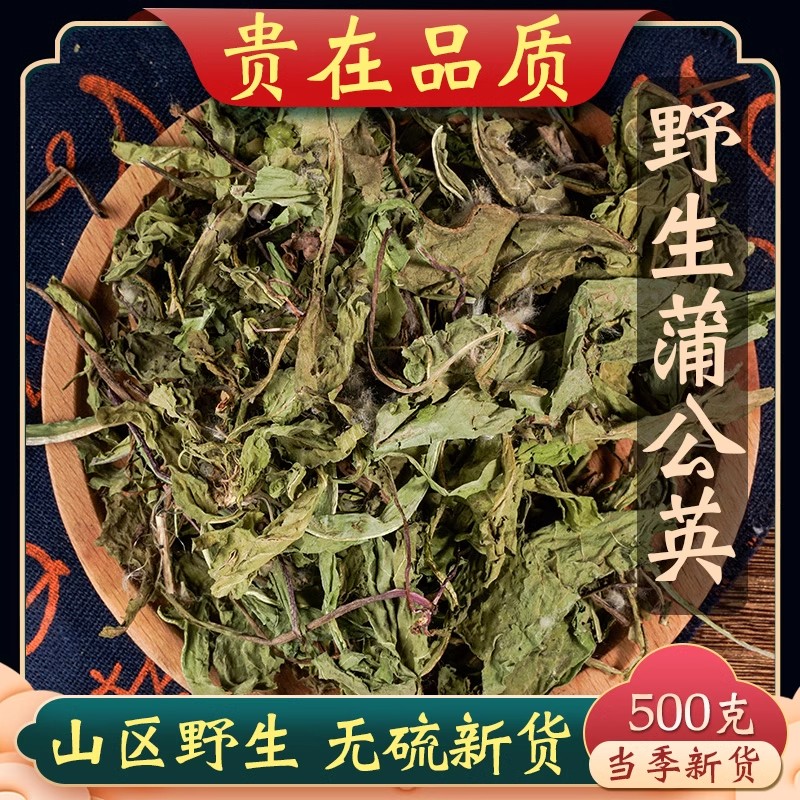 蒲公英中药饮片500g克