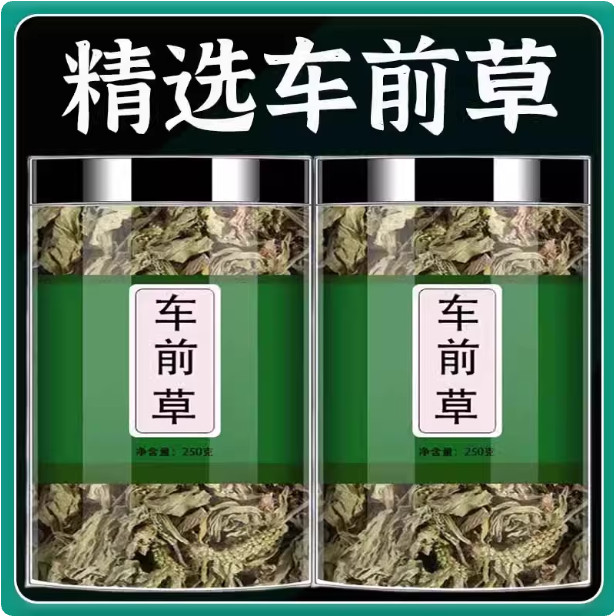 车前草500g泡水养生野生车前草猫爪草泡茶新鲜干货滋补中草药