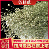 谷精草材500g克野生新鲜干货谷精珠中草药珍珠草泡茶泡水