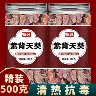 紫背天葵中药材正品红天葵子红水葵散血子新鲜中草药干货批发