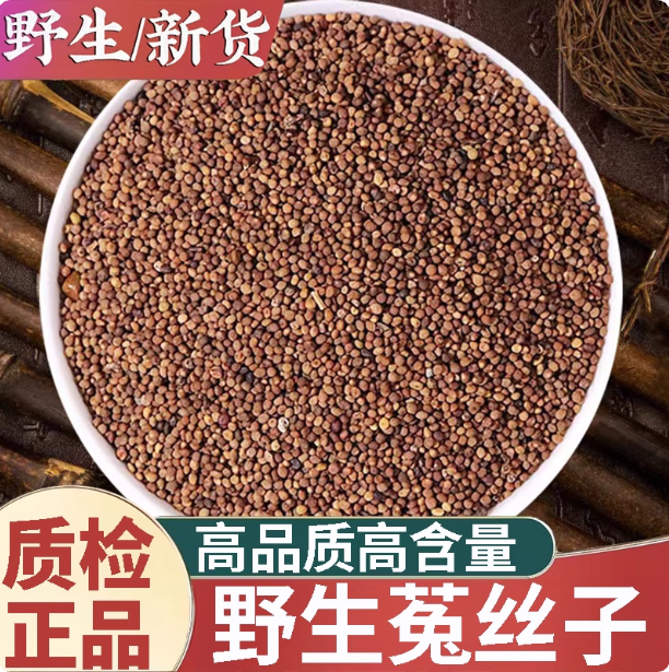 正品内蒙古野生菟丝子中药材500g小兔丝子吐丝子滋补养生泡水喝