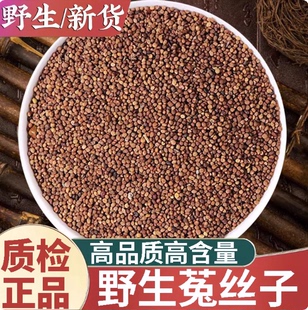 正品内蒙古野生菟丝子中药材500g小兔丝子吐丝子滋补养生泡水喝