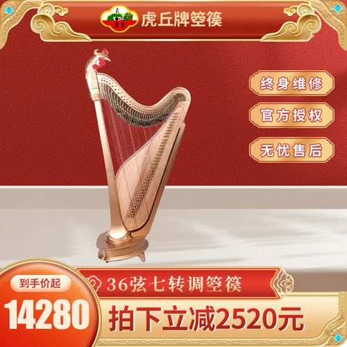 虎丘牌专业舞台演奏sk-2民族乐器