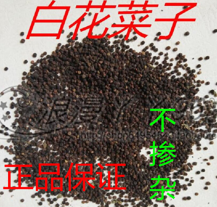 白花菜子 白花菜籽 臭花菜子 臭菜子 羊角菜子 500克 包邮