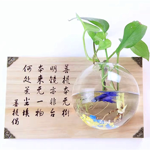 木板墙面装饰水培绿植花器简约