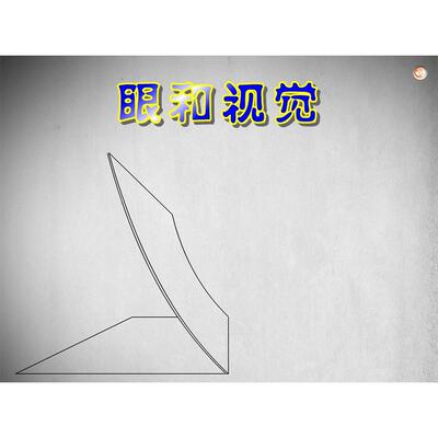 获奖课件/公开课/初中生物/flash课件/眼和视觉