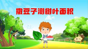 多媒体大赛课件小学数学flsh制作精品——撒豆子测树叶面积