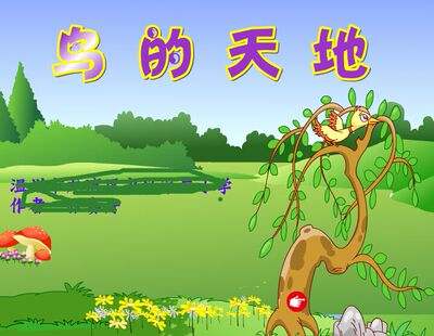 精心制作美观效果小学美术获奖Flash课件制作：鸟的天地