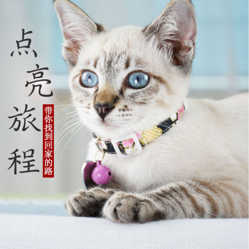 日本和风猫项圈猫咪用品安全扣饰品英短美短铃铛颈圈