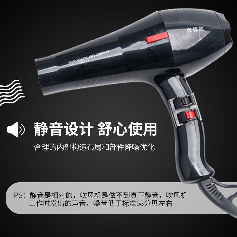일일 특별 가격 대만 BAO DELONG 헤어 드라이어 고출력 헤어 살롱 전용 가정용 애완 동물 용품 음이온 음소거