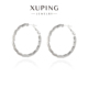 旭平欧美圈圈耳环女高级感大气耳圈精致圆圈耳扣不规则个性 耳饰