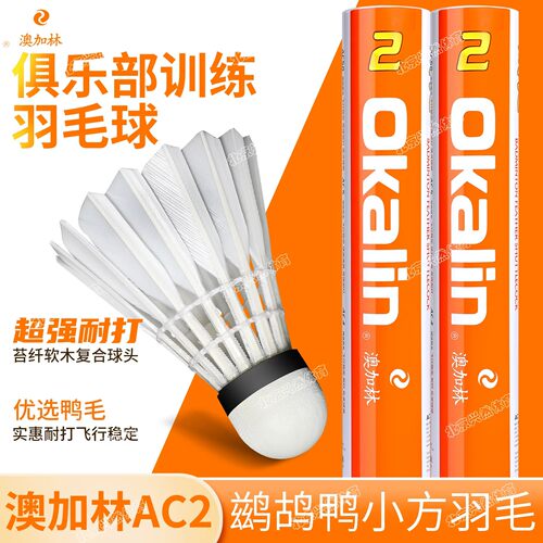 澳加林AC2羽毛球耐打飞行稳