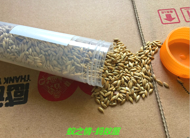 The feeling of ants/Ant food/Harvest ant food/Native/Artisan/Needle hair/Canary child 45ML cleanin the Pet/Pet food and supplies , Reptile/Insects and supplies Ming , Ant  category - from Buy2taobao.com to provide professional Taobao agent buy service