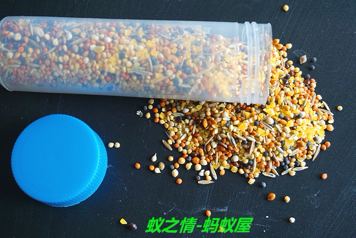 蚁之情-蚂蚁屋 蚂蚁食物 收获蚁食物 混合种子 营养全面  50ML在类目 宠物/宠物食品及用品, 爬虫/鸣虫及其用品, 蚂蚁中 - 来自Buy2taobao.com提供专业的淘宝代购服务