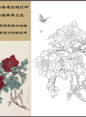 工笔画底稿竖幅小品墨撒金牡丹花卉高清打印稿线描初学者临摹